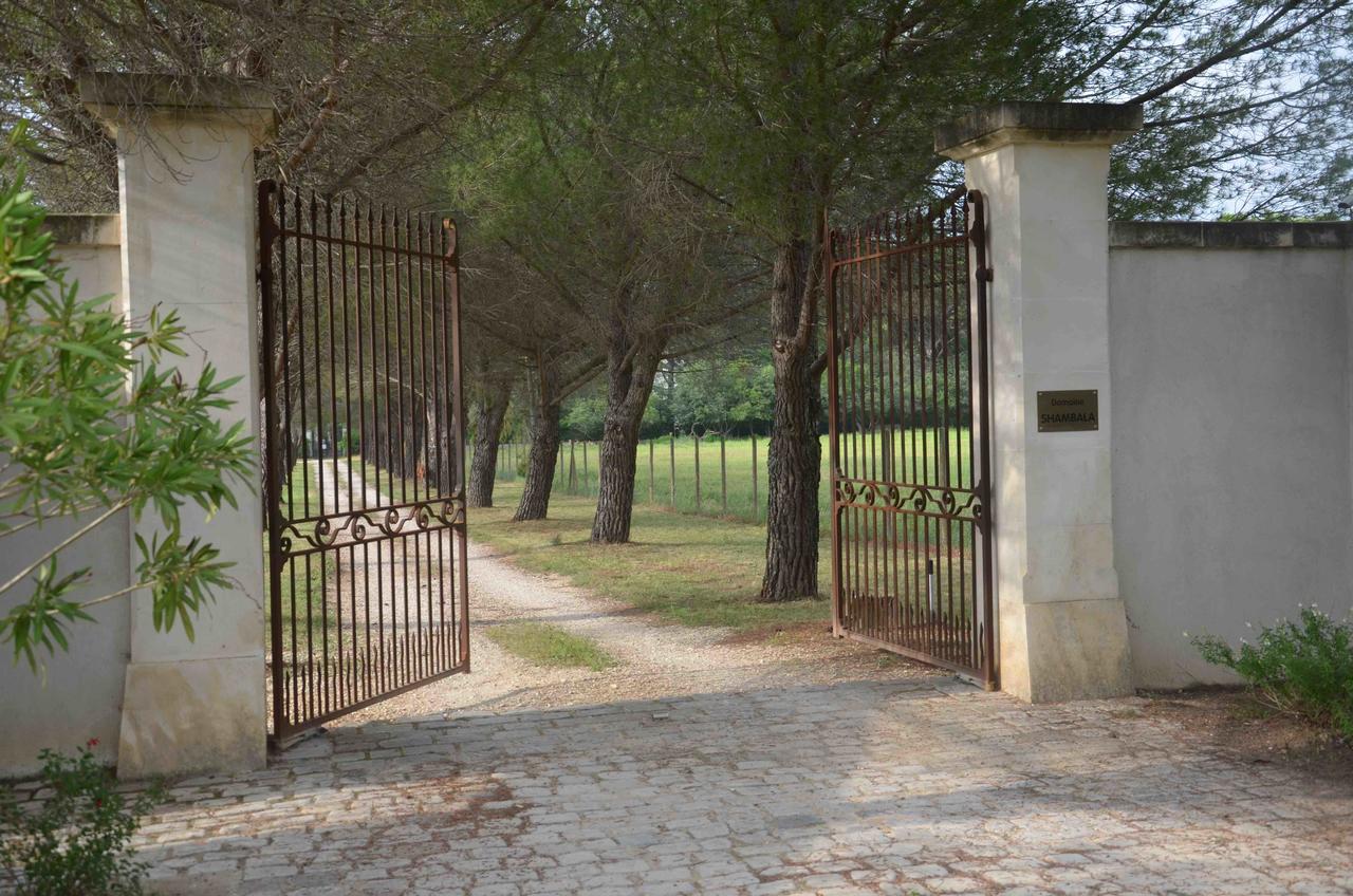 Domaine Shambala - Maison D'Hote En Provence - Piscine Chauffee Velaux Exteriér fotografie