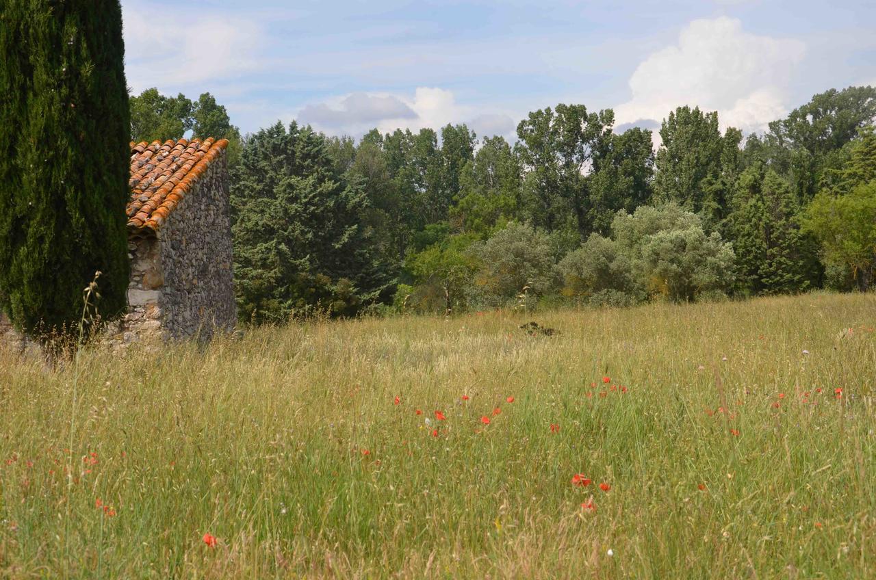 Domaine Shambala - Maison D'Hote En Provence - Piscine Chauffee Velaux Exteriér fotografie